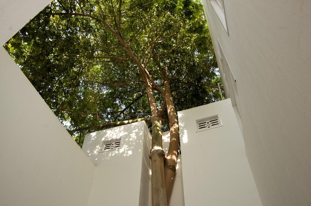 סנטה מרתה La Casa Del Piano Hotel Boutique By Xarm Hotels מראה חיצוני תמונה